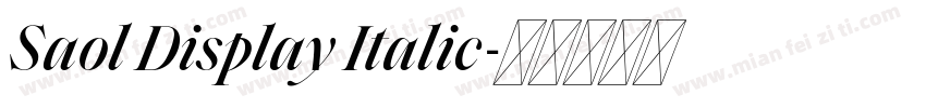 Saol Display Italic字体转换